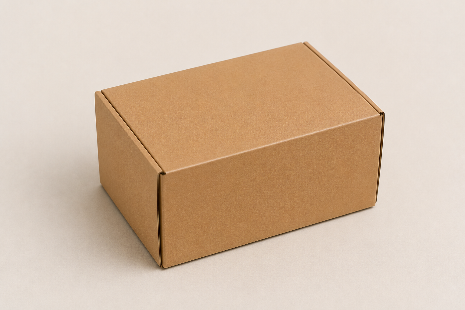 CAJA ECOMMERCE 19x13x11